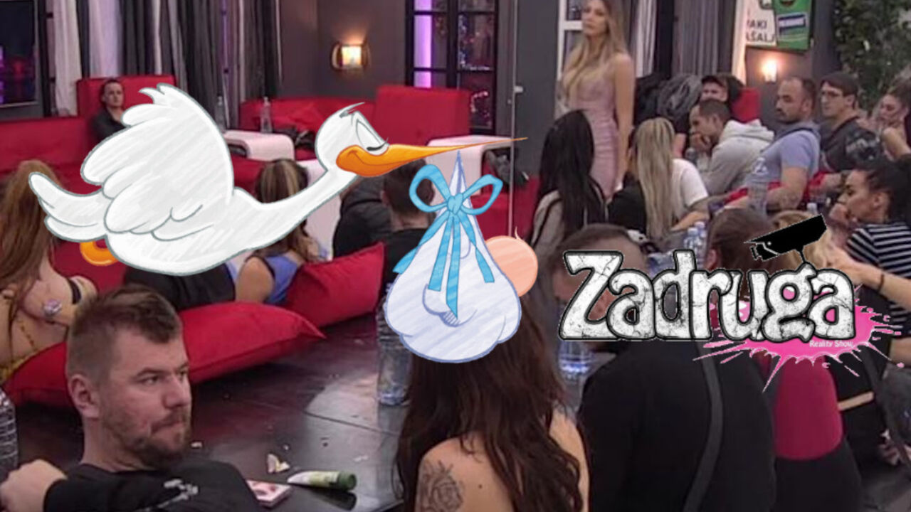zadruga