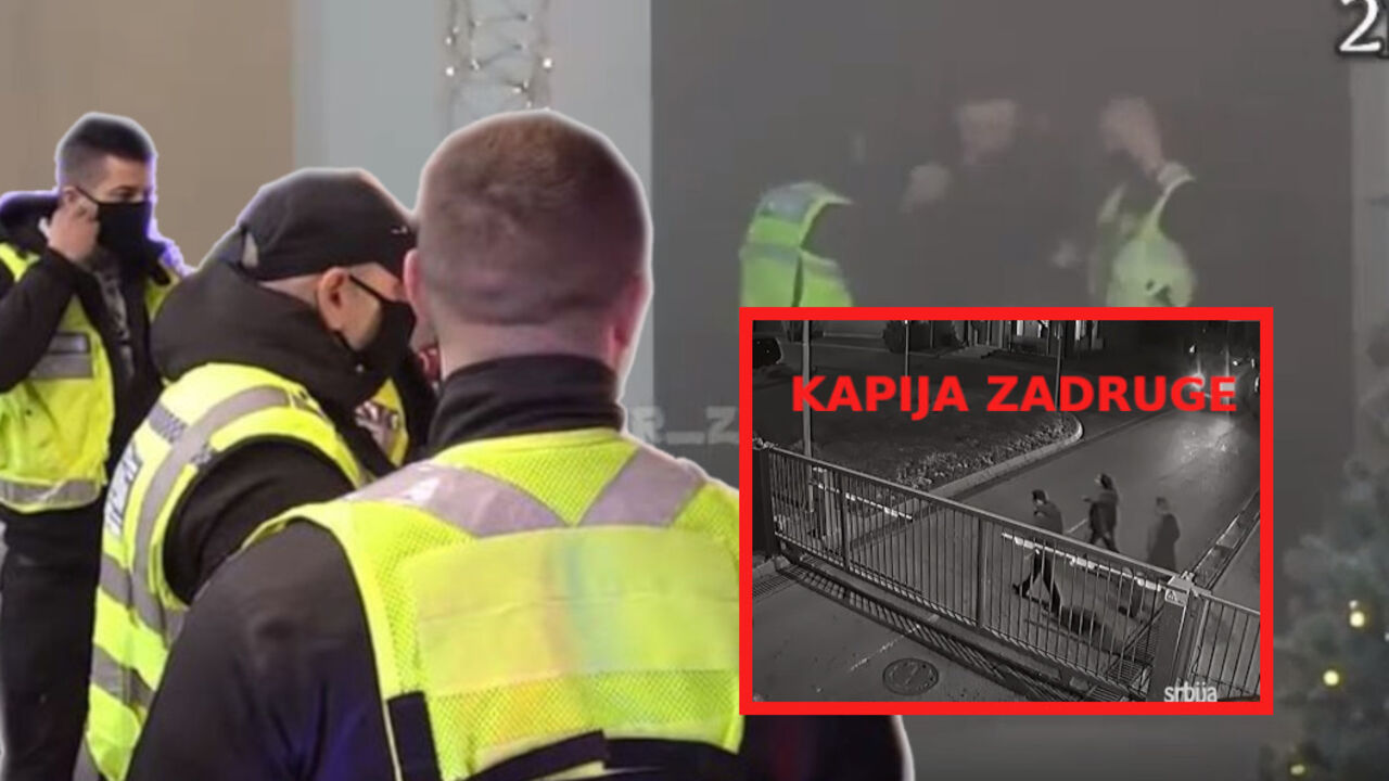 zadruga