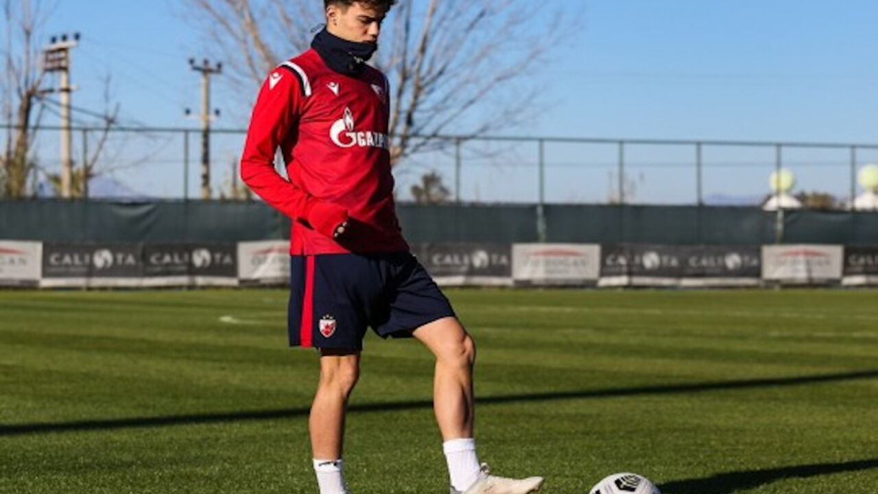 Nikola Mituljikić