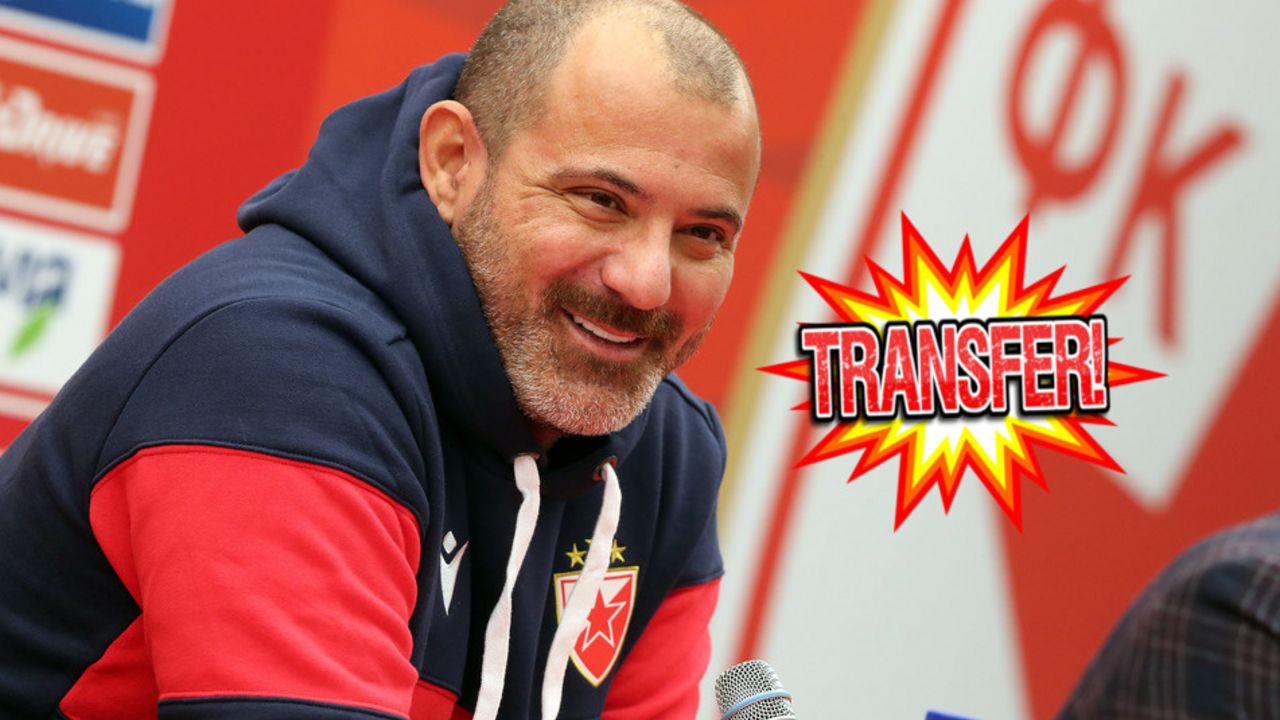 Dejan Stanković, FK Crvena zvezda