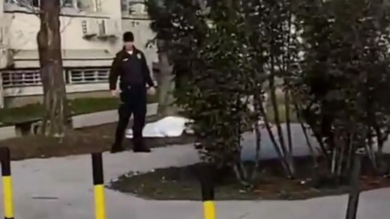 Telo na Novom Beogradu