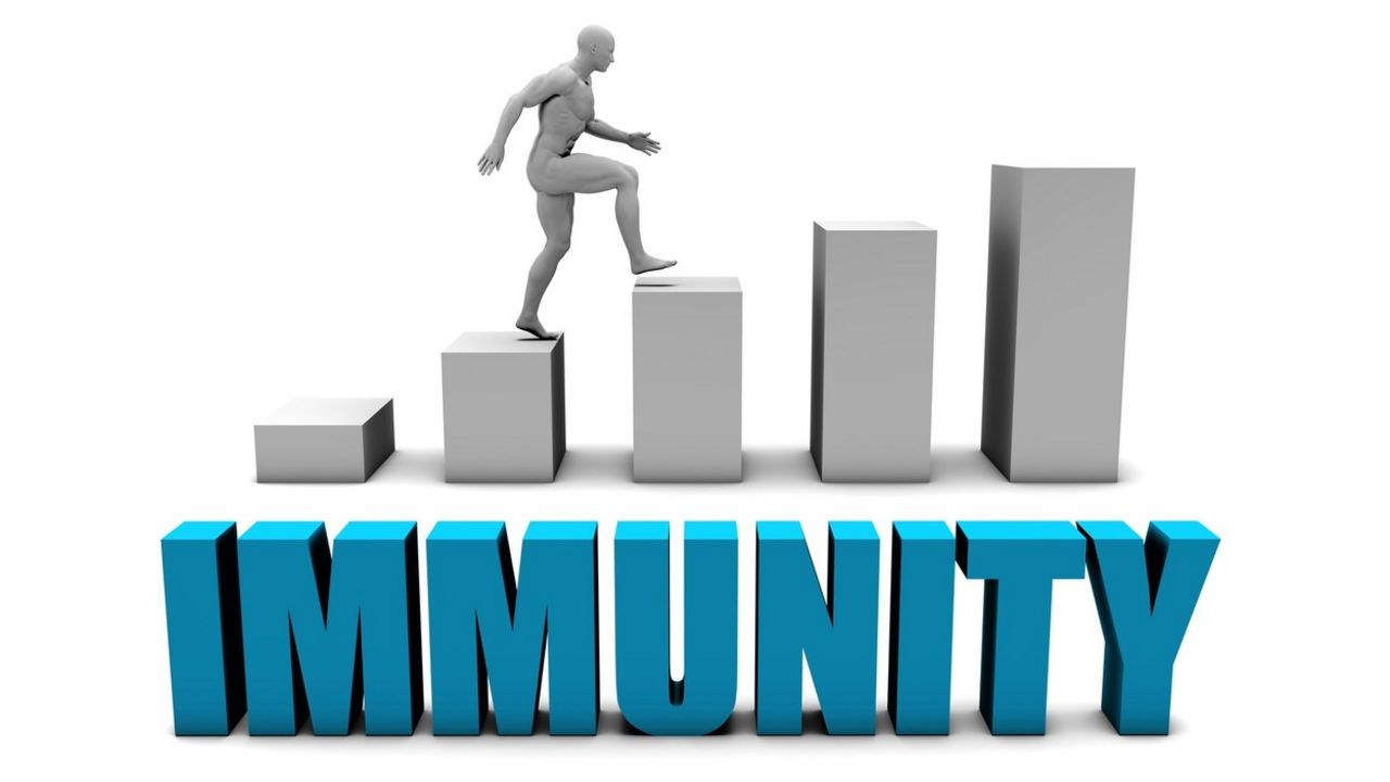 imunitet