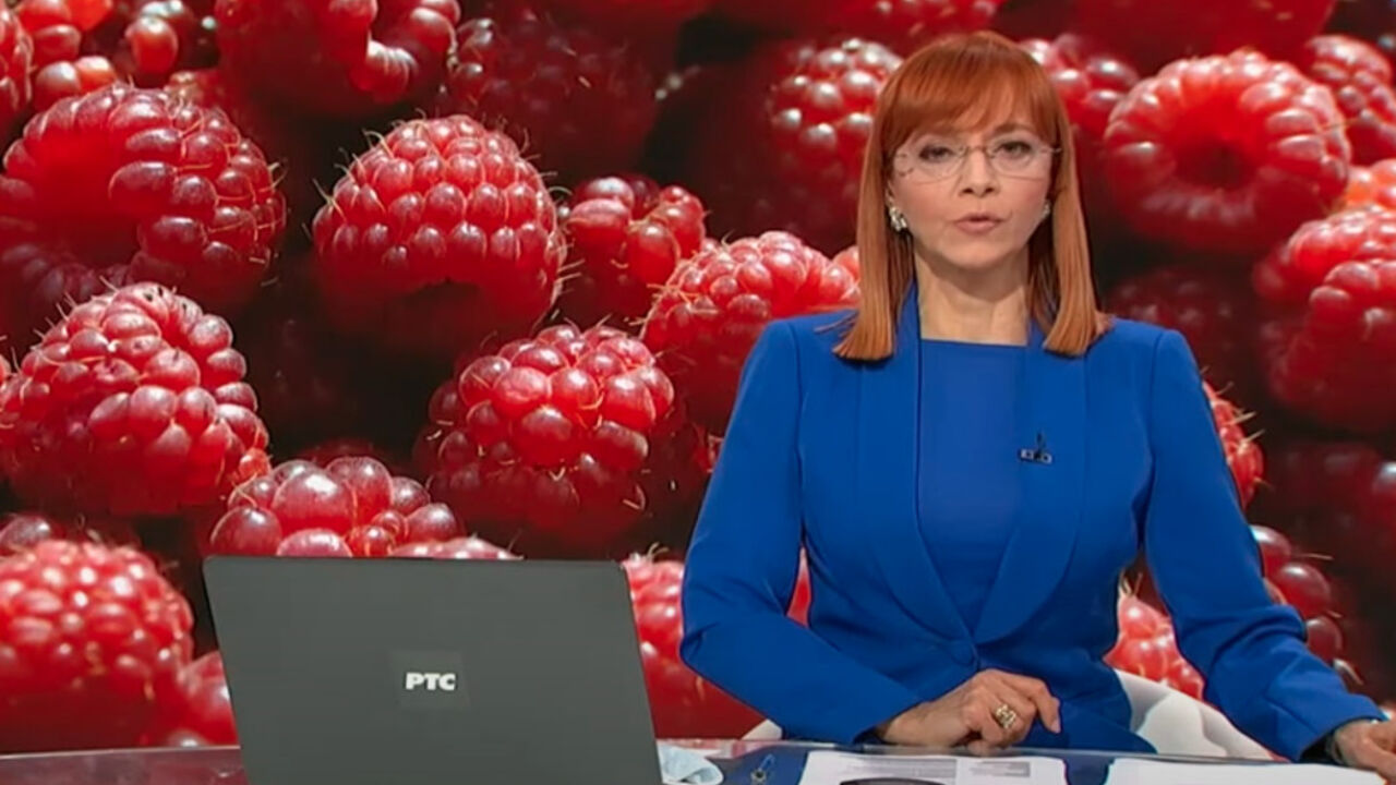 Dnevnik