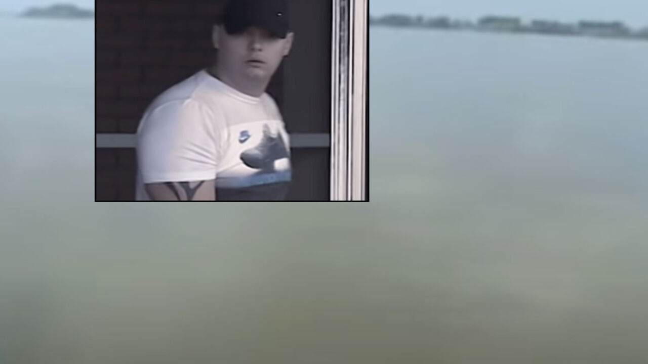 Velja Nevolja