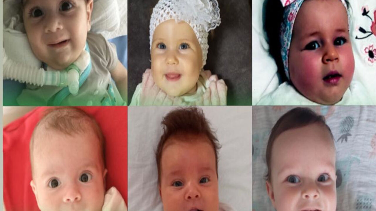 Oliver Pal Gajodi, Lana Jovanović, Sofija Markuljević, Boško Guleta, Vanja Malović, Vukan Stojiljković