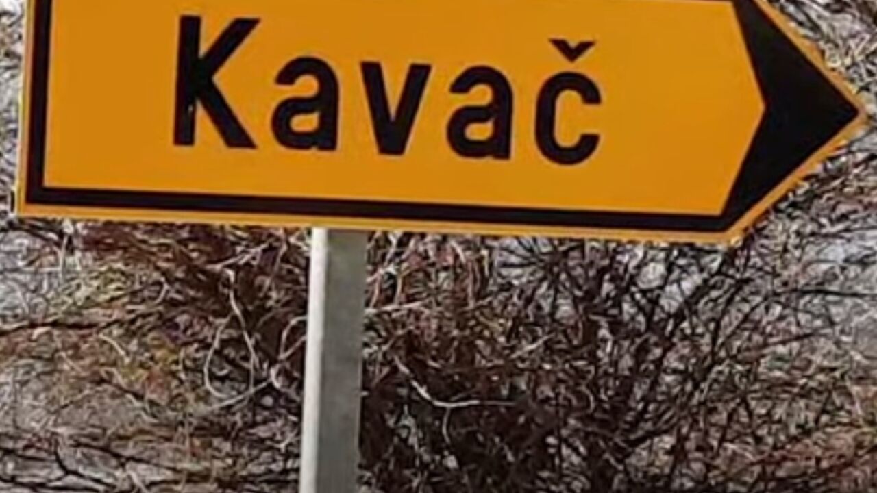 Kavčani