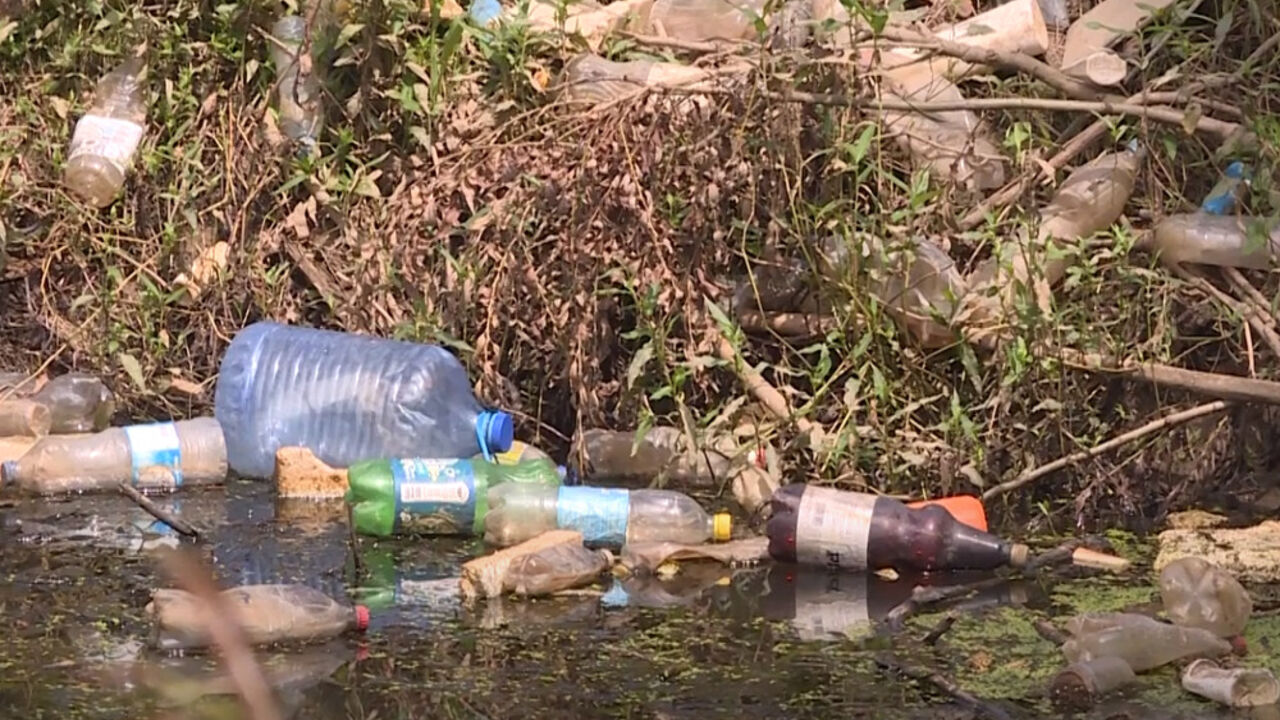 Binačka Morava