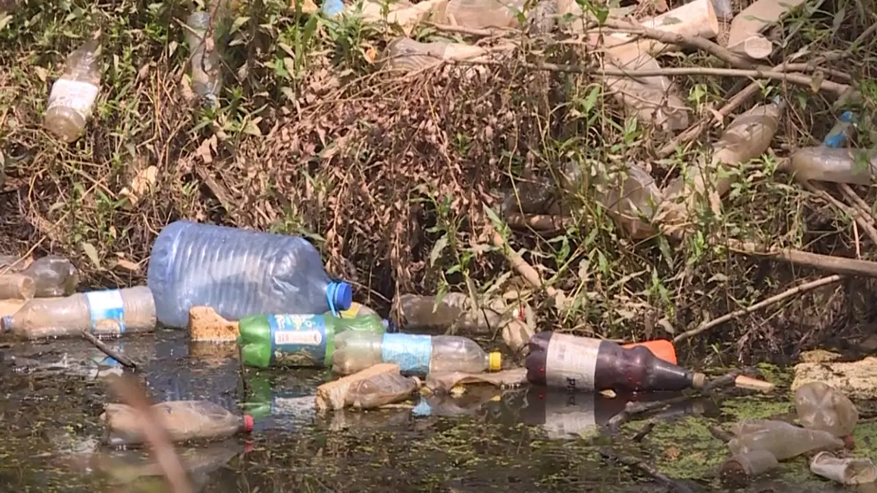 Binačka Morava