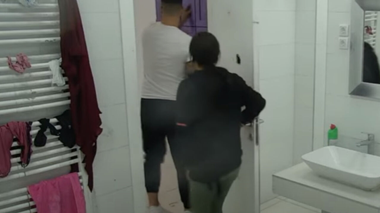 Zadruga