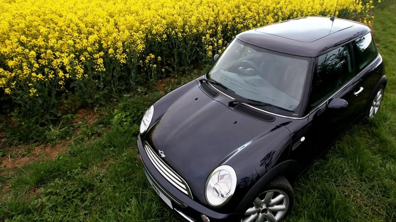 mini