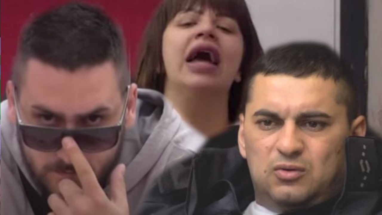 Miljana Kulić, Lazar Čolić Zola, Nenad Macanović