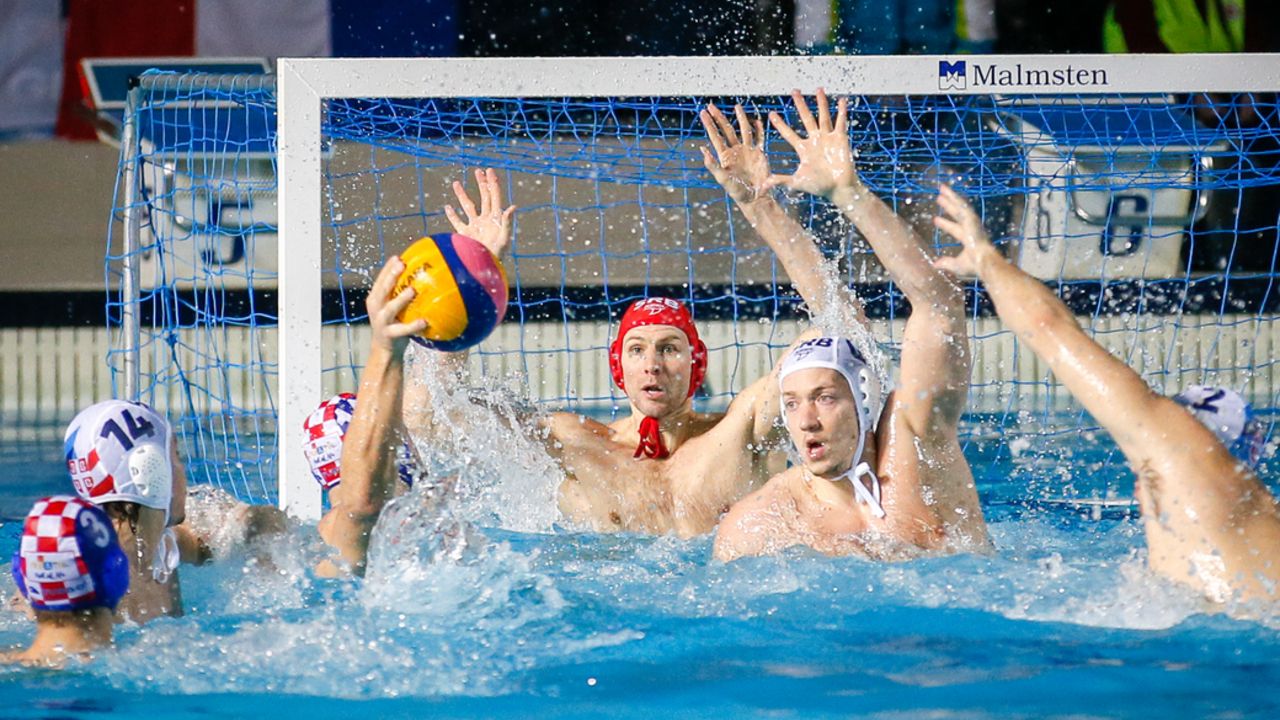 Branislav Mitrović