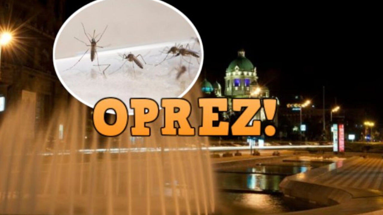 Zapadni Nil