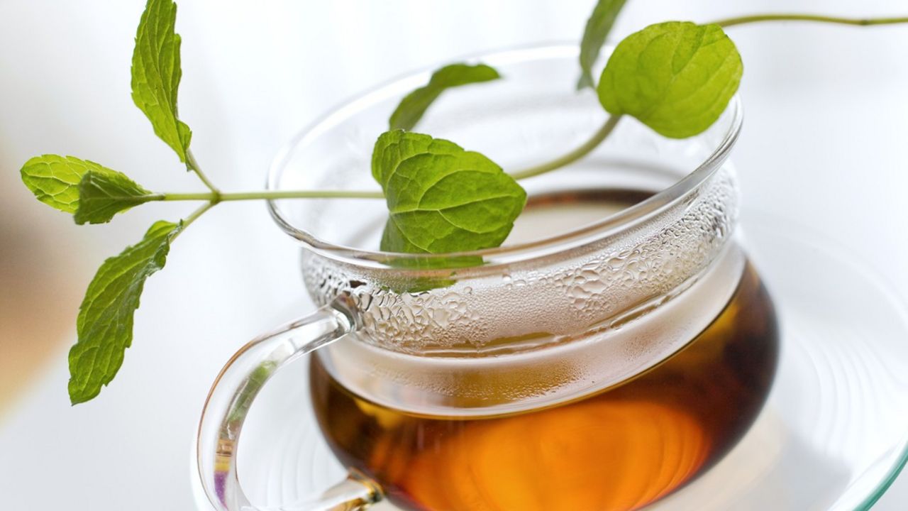 Menta