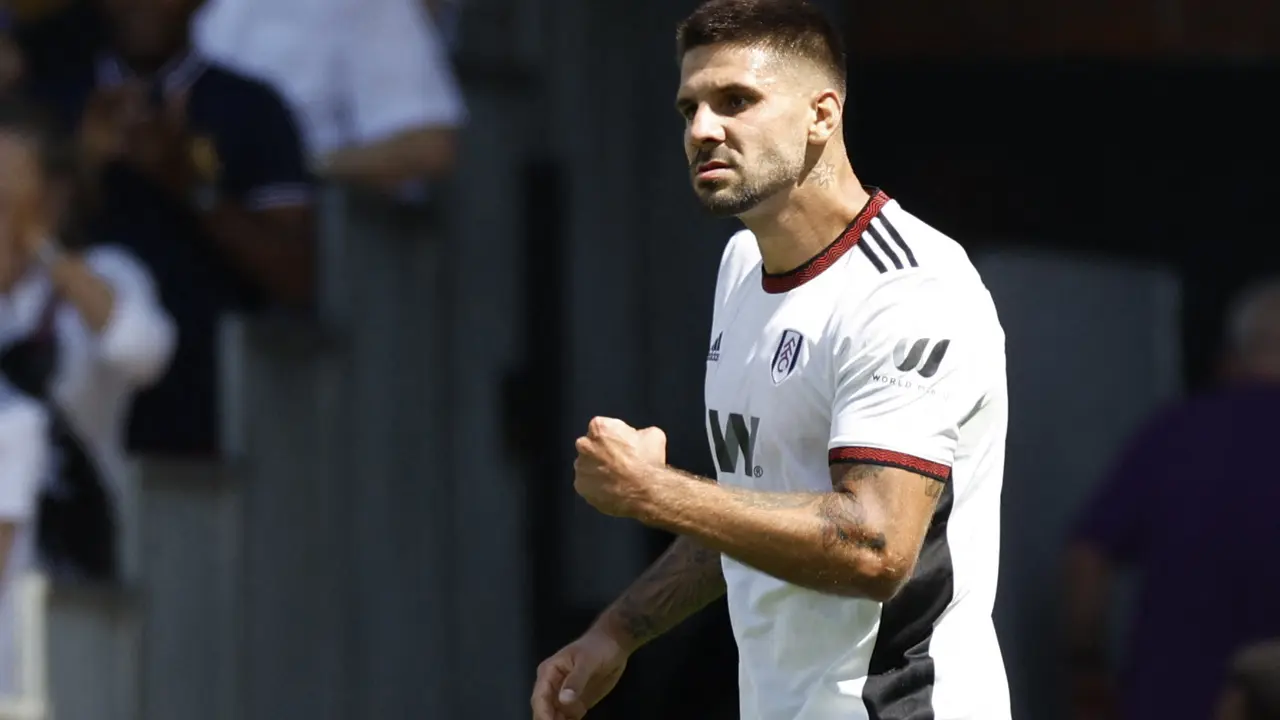 Aleksandar Mitrović