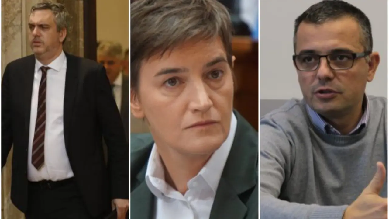 Čadež, Brnabić, Nedimović