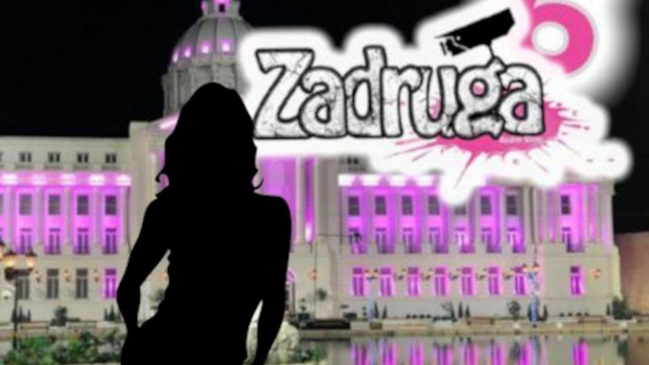 zadruga 6
