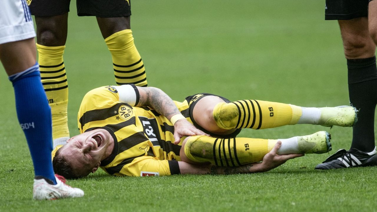 Marko Rojs