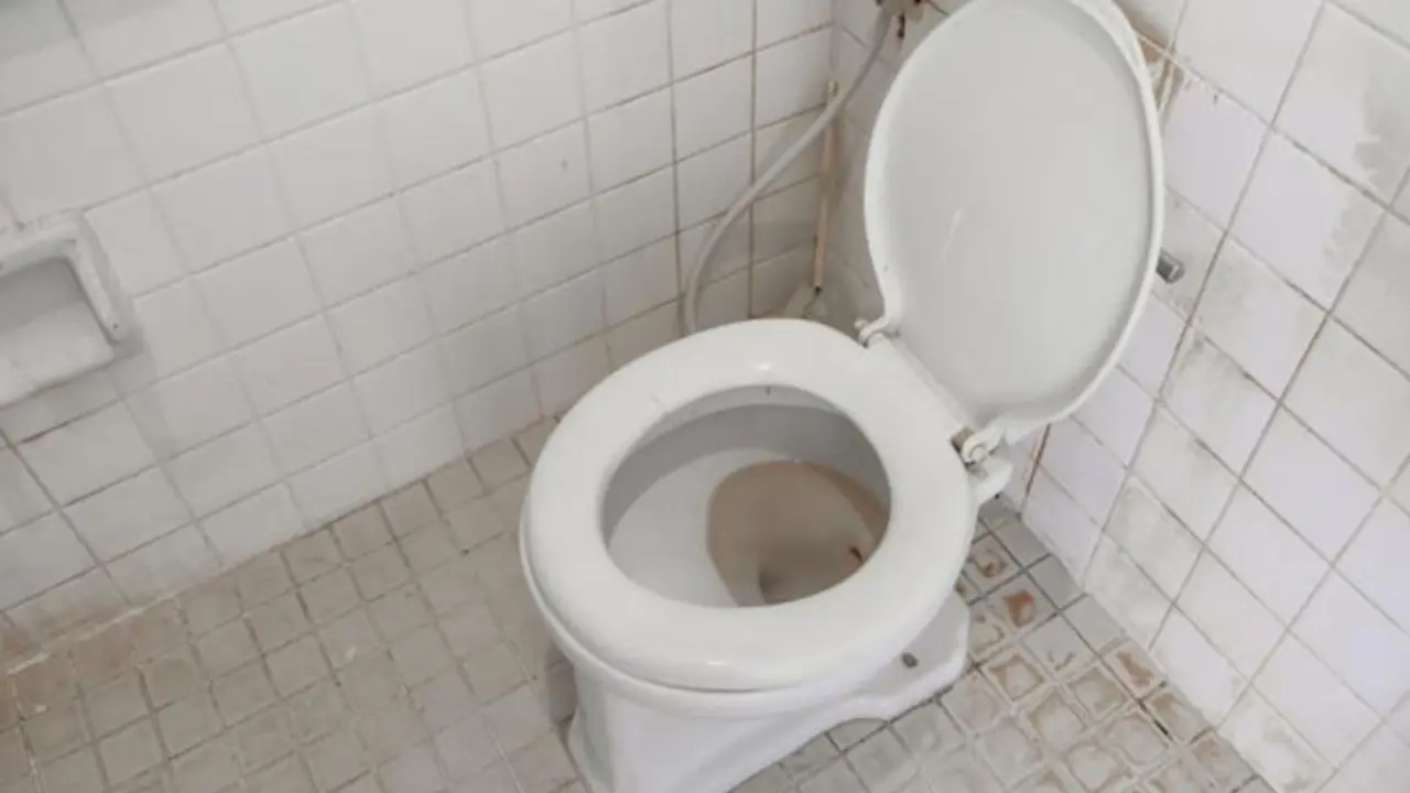 wc šolja