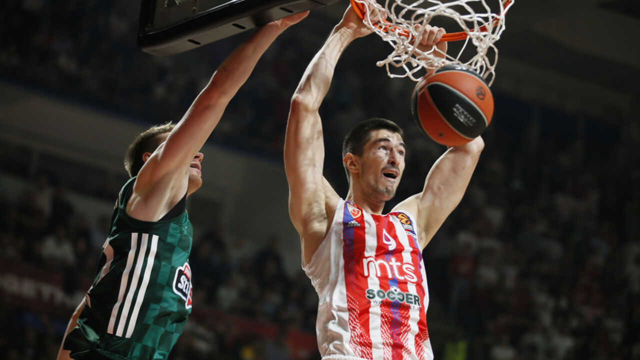 Luka Mitrović