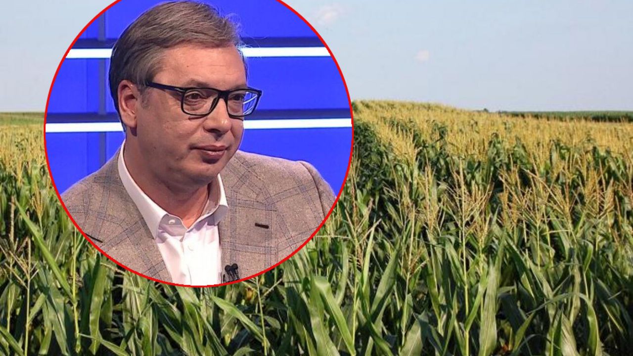 Vučić