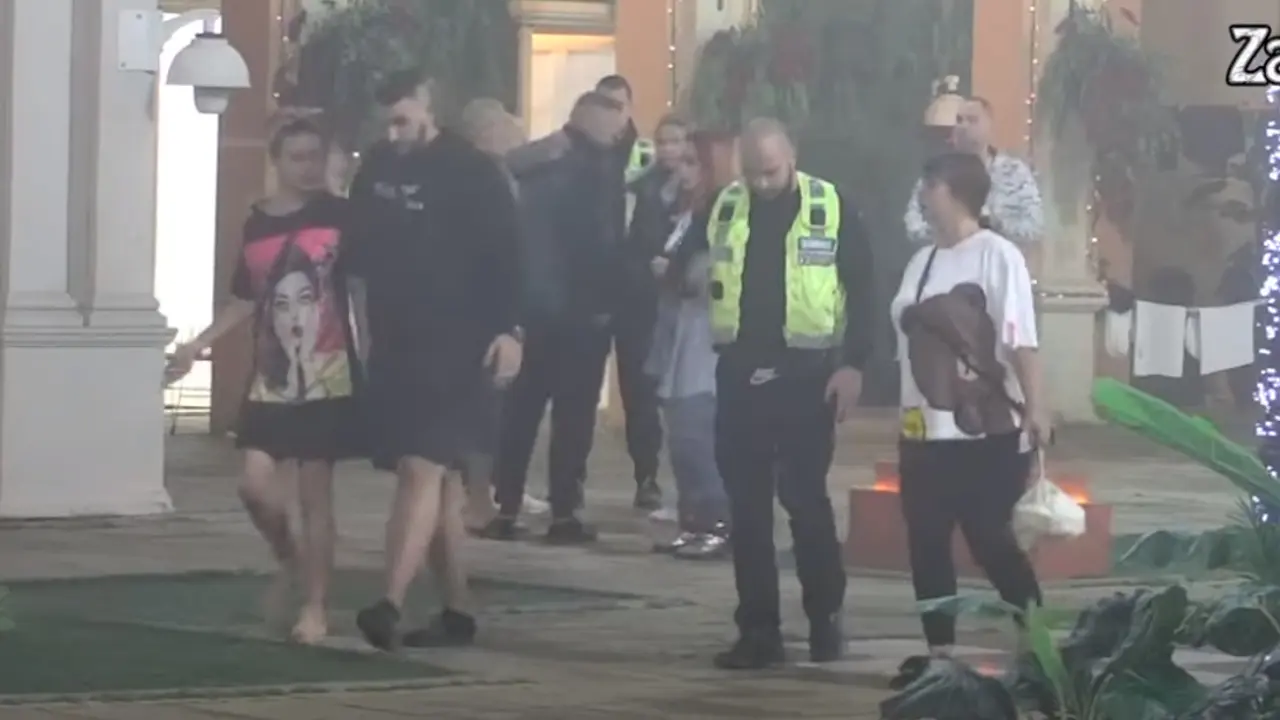 Miljana Kulić, Lazar Čolić Zola, Anita Stanojlović