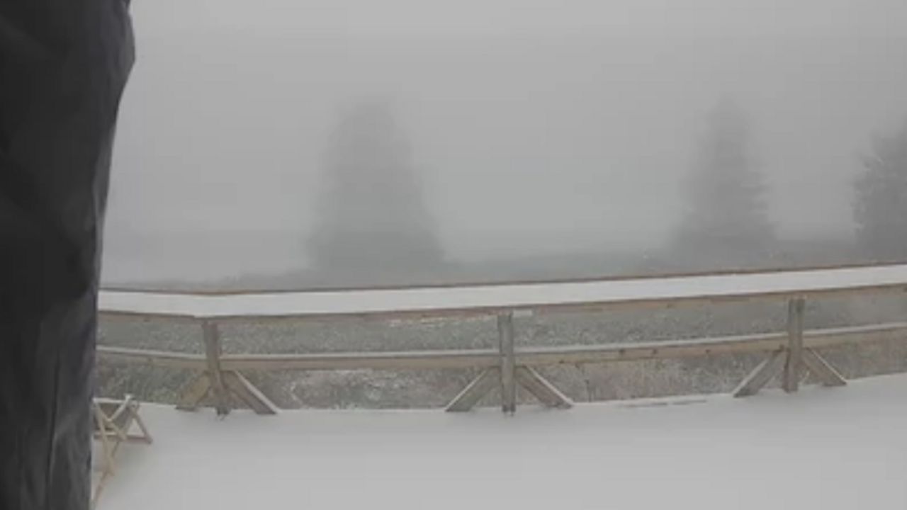 Sneg na Kopaoniku