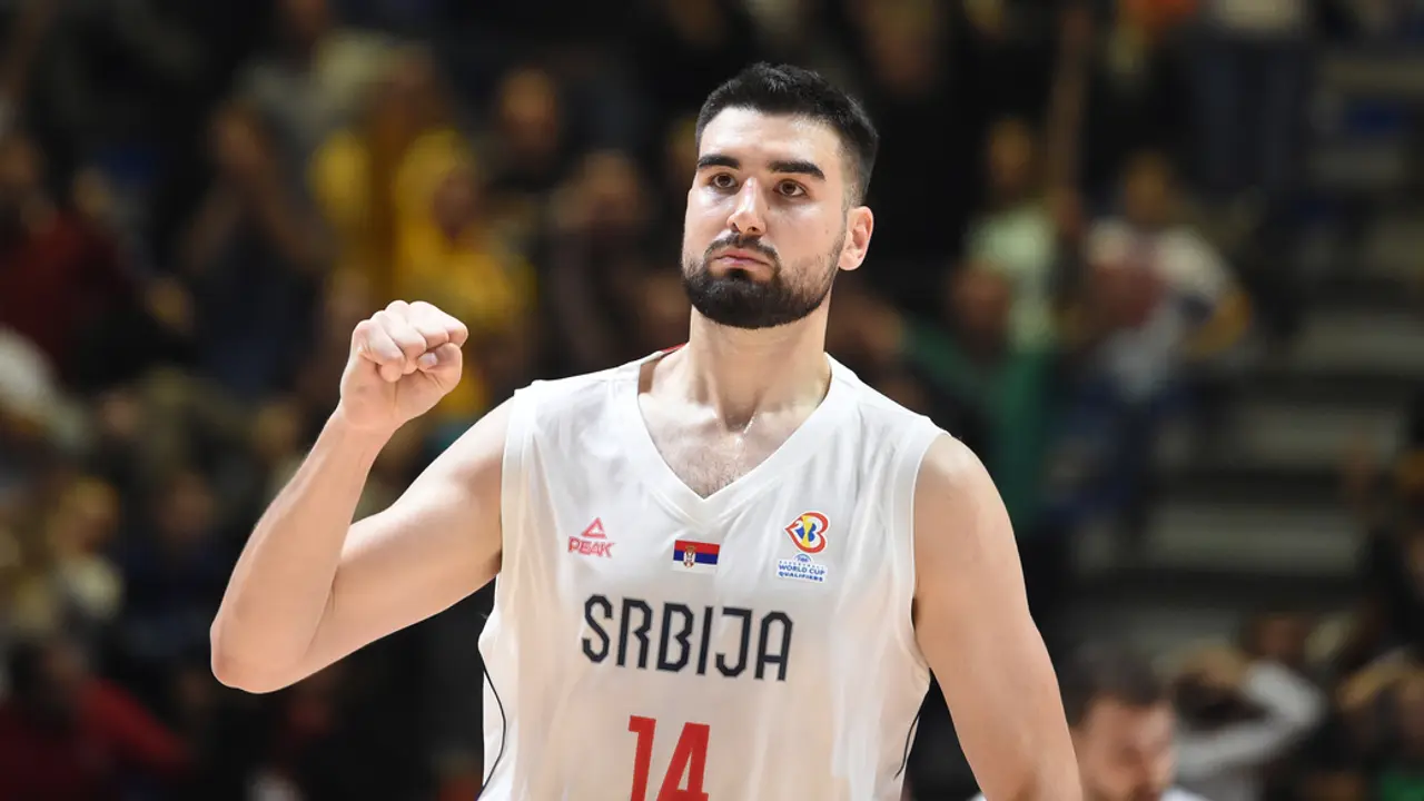 Dušan Ristić