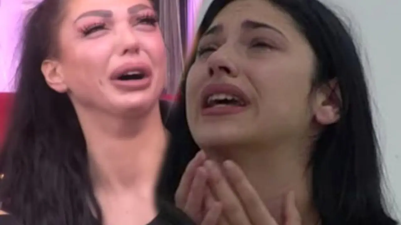 Zadruga 6