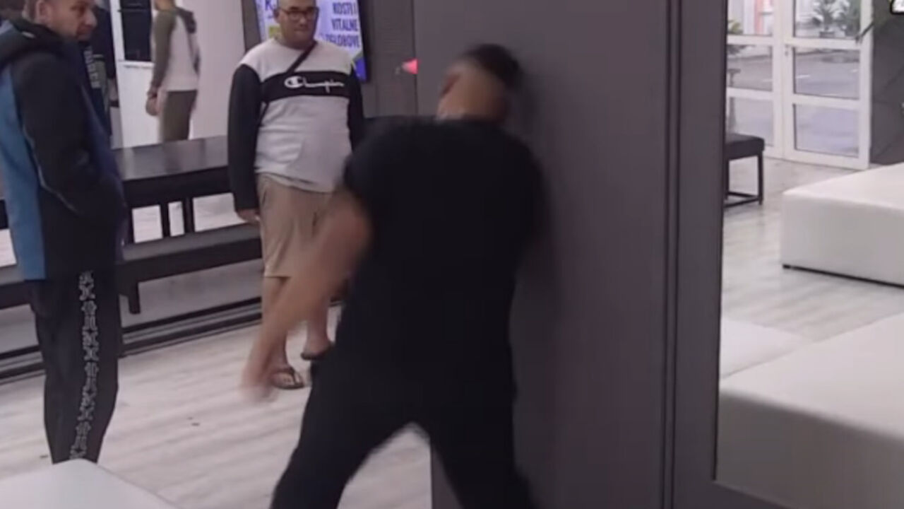Zadruga 6