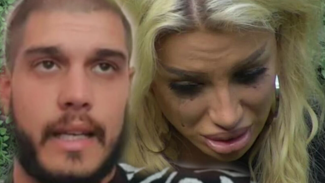 Zadruga 6