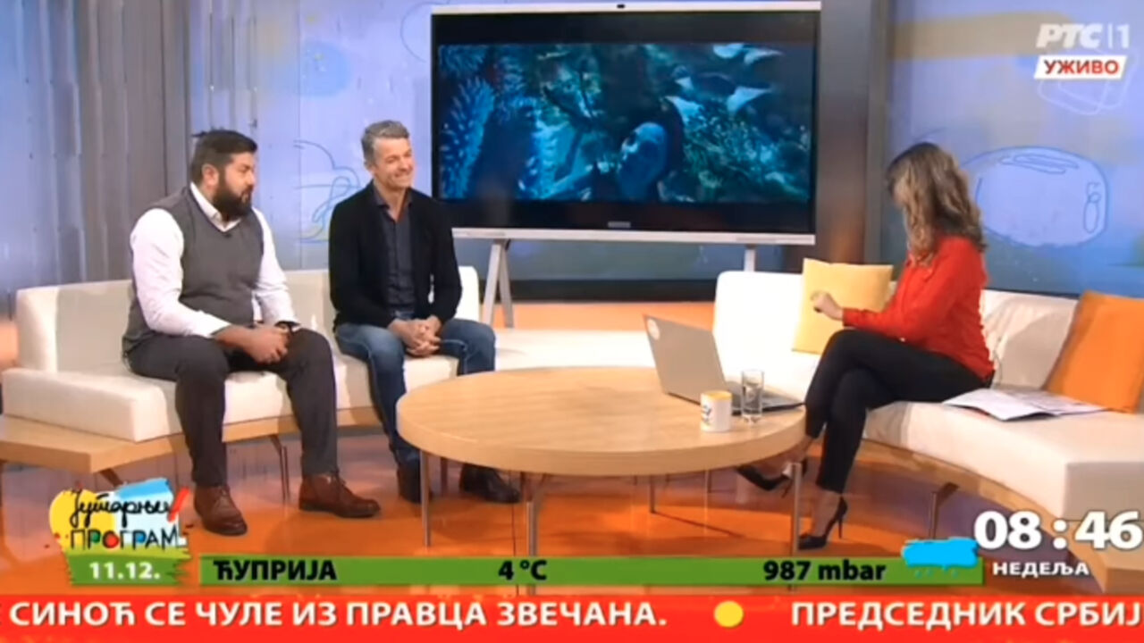 Jutarnji program