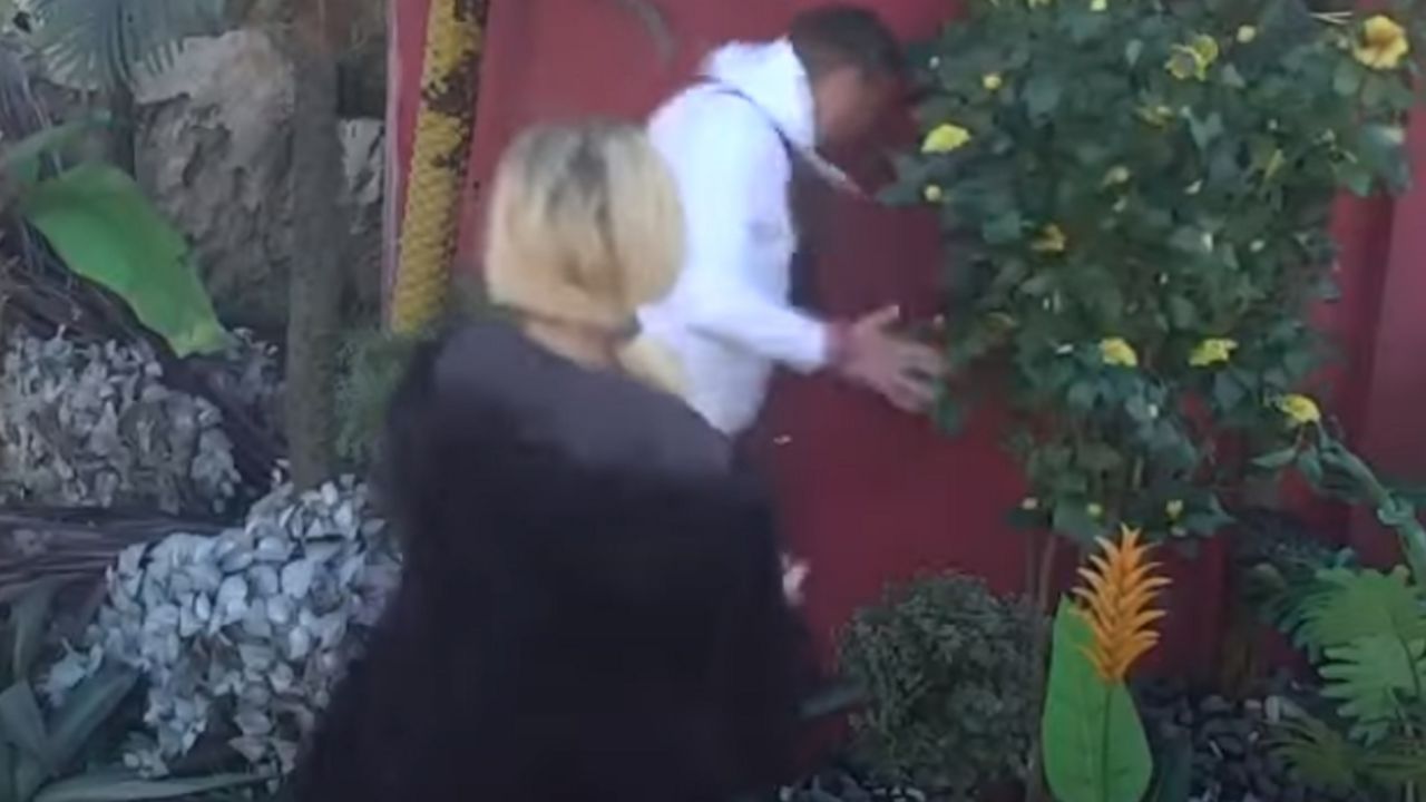 Adam Đogani, DJ Tamaris