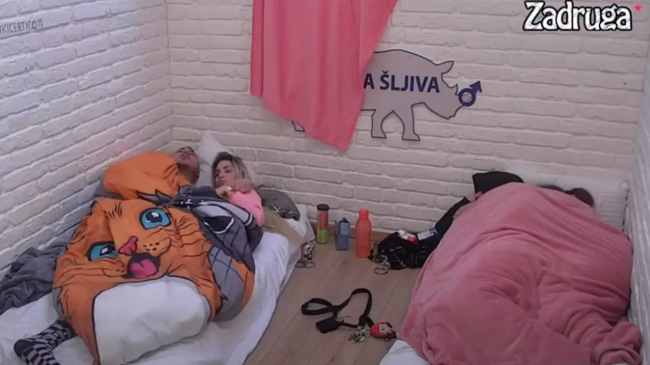 Aleksandra Nikolić, Filip Car, Lazar Čolić Zola, Miljana Kulić