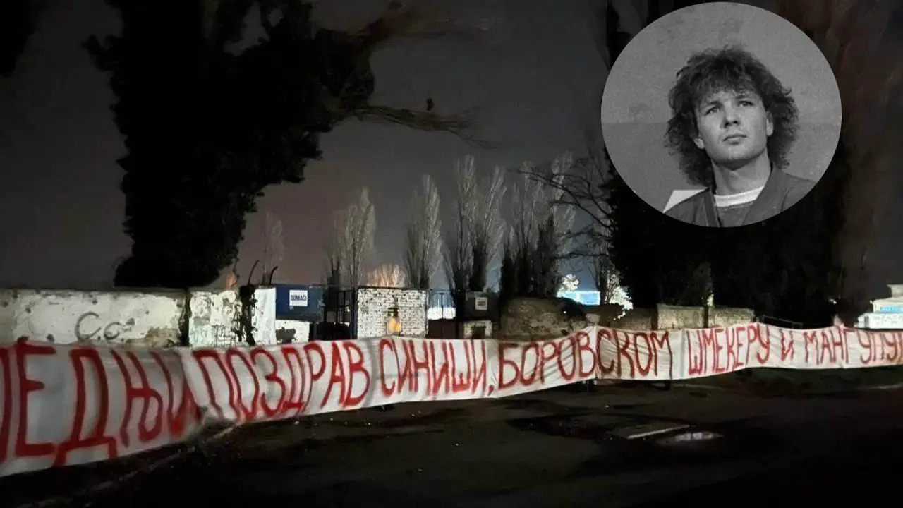 Siniša Mihajlović Borovo Selo