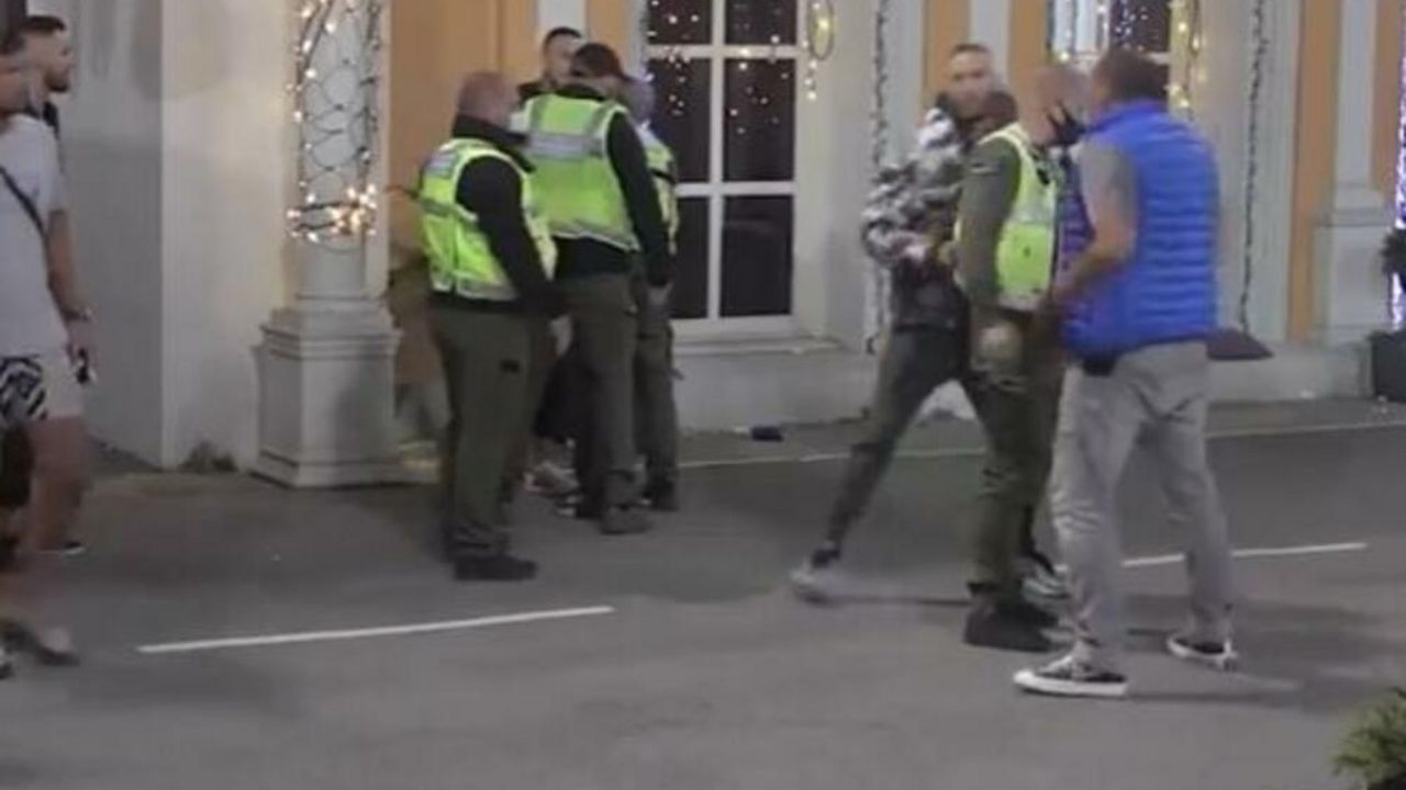Zadruga 6