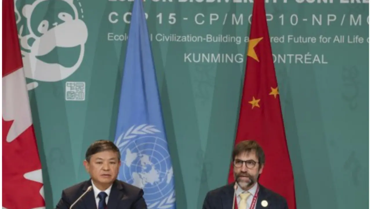 UN