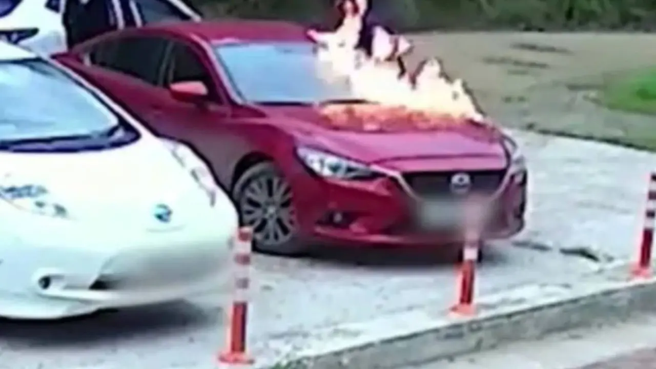 Gori auto sa detetom