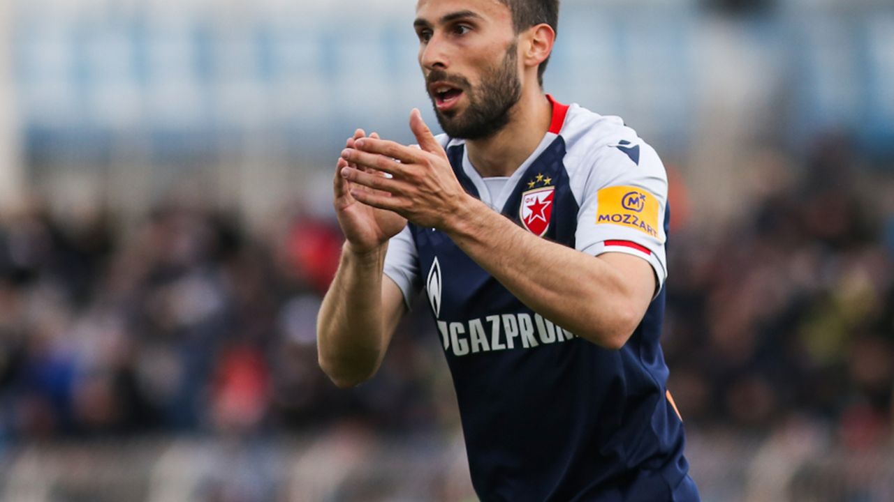 Milan Gajić