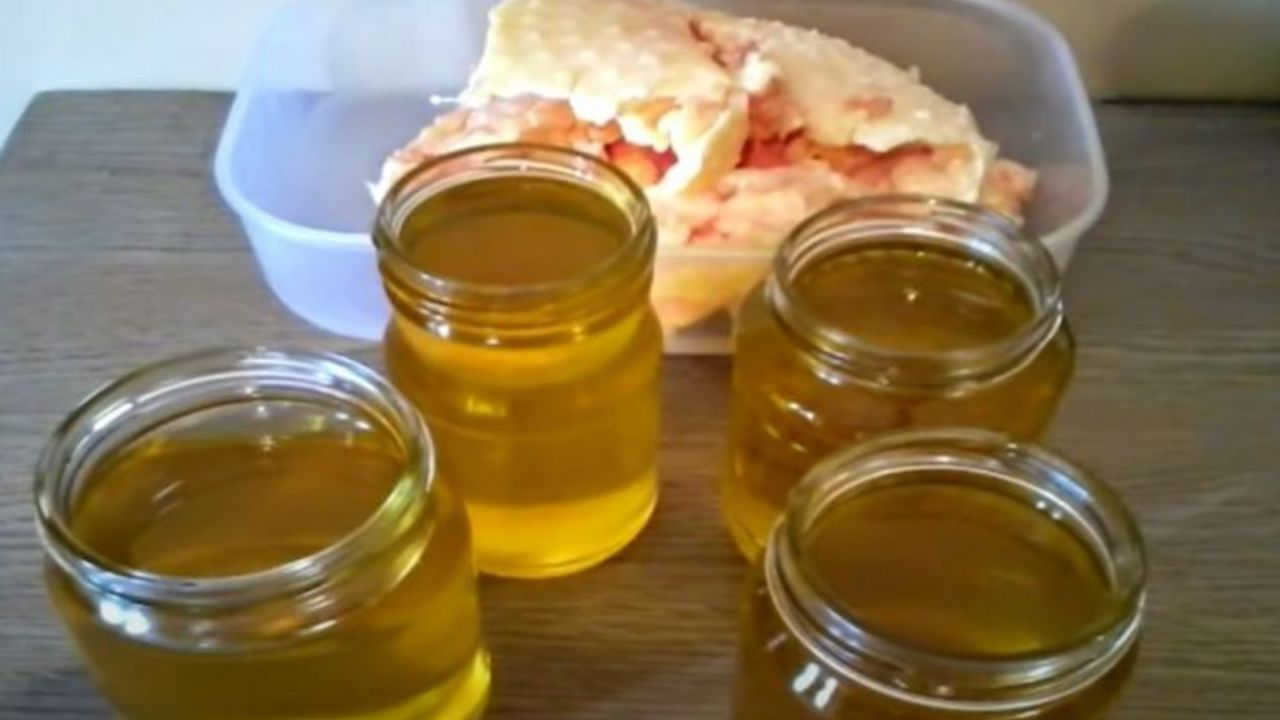 guscja mast