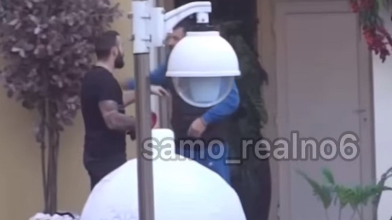Zadruga 6
