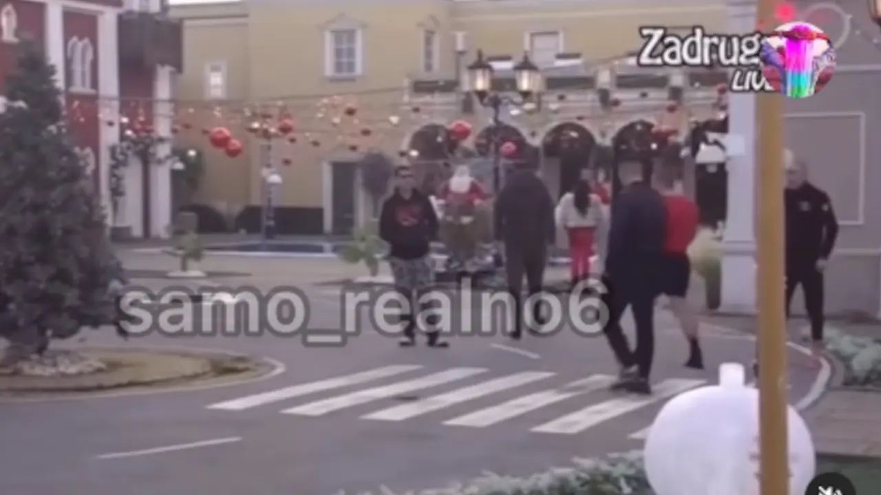 zadruga