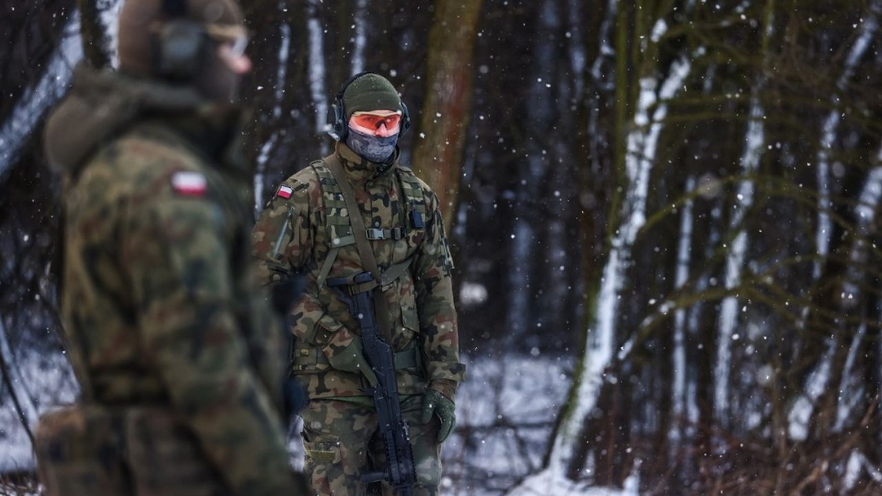 Poljska vojska