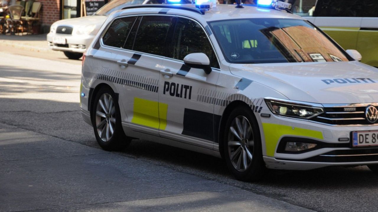 Danska policija