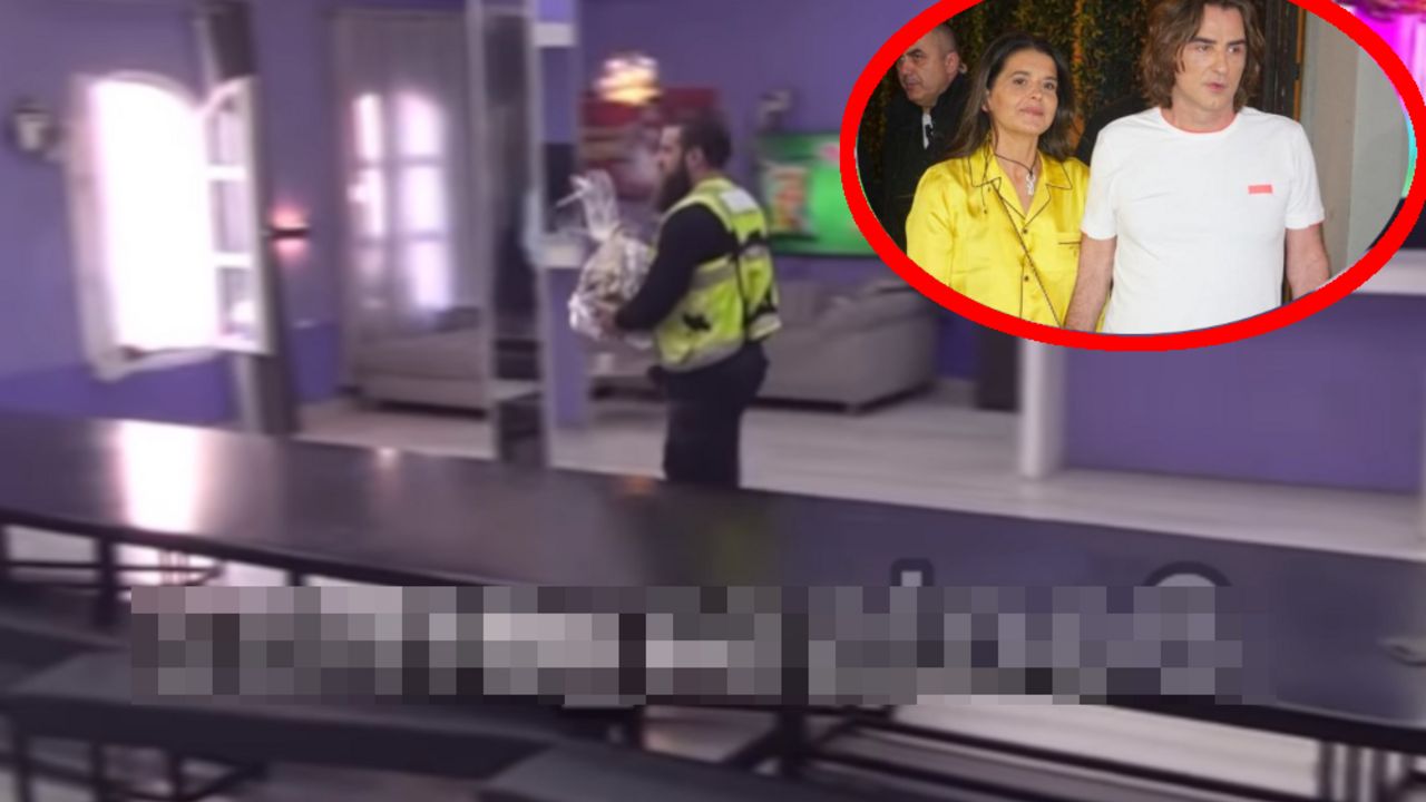 obezbeđenje, Milica i Željko Mitrović