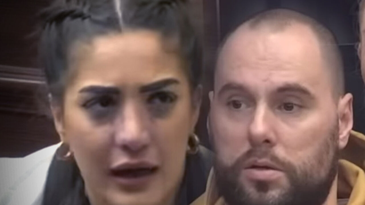 Zadruga 6