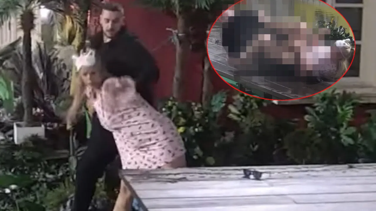 Miljana Kulić, Lazar Čolić Zola