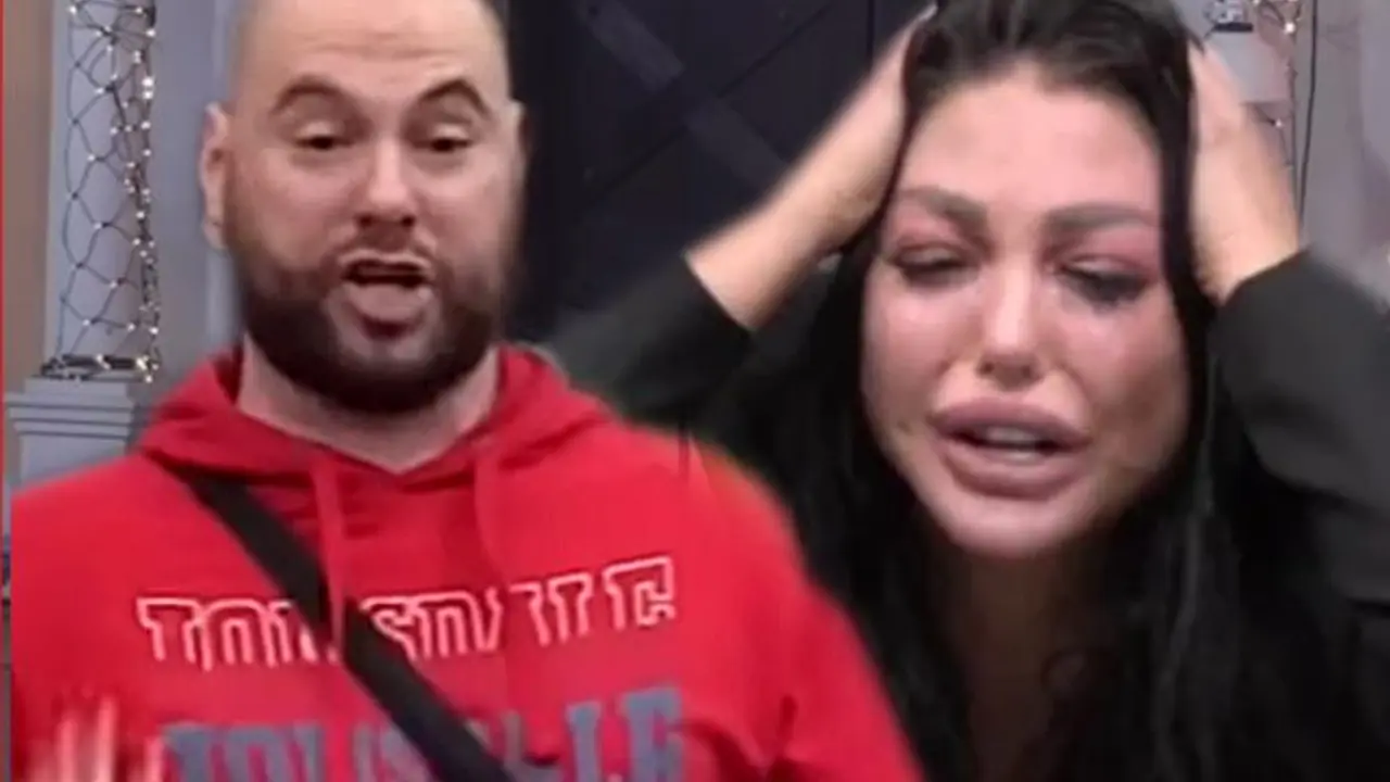 Zadruga 6