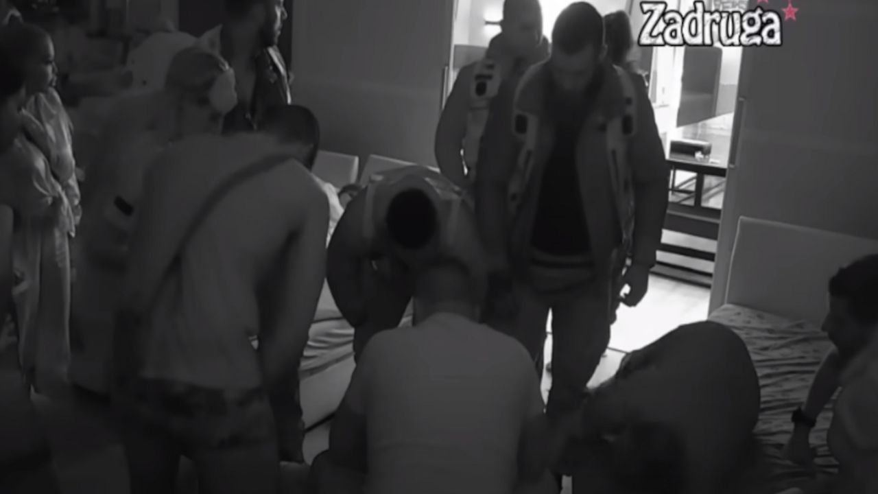 Zadruga 6