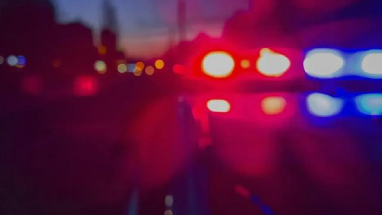 policija